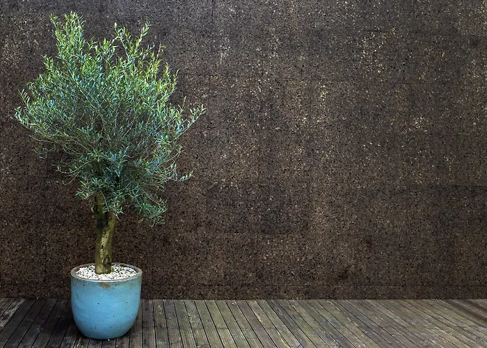 Ocean Porto - House Nocleg ze śniadaniem 4*